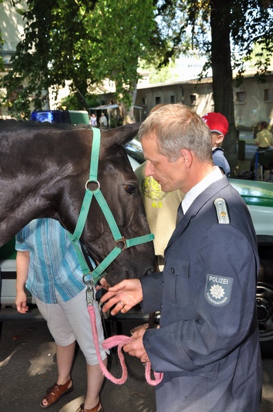 Polizeidirektion   120.jpg
